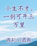 小生不才,一剑可开三万里