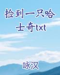 捡到一只哈士奇txt