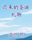 迟来的圣诞礼物
