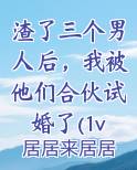 渣了三个男人后，我被他们合伙试婚了(1v3)