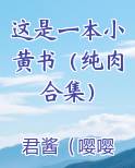 这是一本小黄书(纯肉合集)
