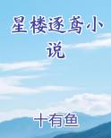 星楼逐鸢小说