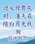 迎父母骨灰时,渣夫在陪白月光找狗