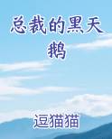 总裁的黑天鹅