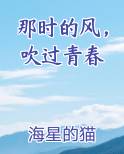 那时的风,吹过青春