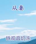 从妻小说全文免费阅读