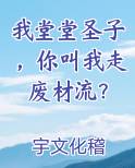 我堂堂圣子,你叫我走废材流?
