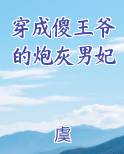 穿成傻王爷的炮灰男妃