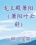 龙王殿萧阳（萧阳叶云舒）