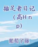 插足者日记(高H np)