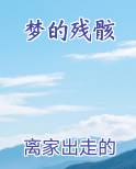 梦的残骸原著小说