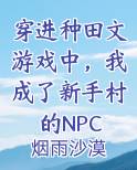 穿进种田文游戏中，我成了新手村的NPC