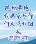 跪死雪地,我离家后你们又求我回头