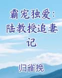 霸宠独爱：陆教授追妻记