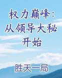 权力巅峰:从领导大秘开始
