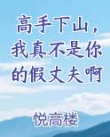 高手下山,我真不是你的假丈夫啊