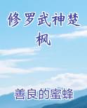 修罗武神楚枫