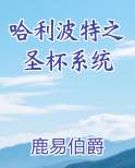 哈利波特之圣杯系统小说全集