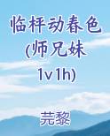 师兄妹相恋的小说