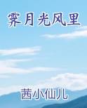 霁月光风里