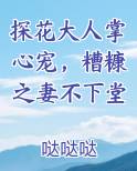 探花大人掌心宠,糟糠之妻不下堂小说全文免费阅读