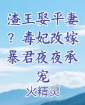渣王娶平妻？毒妃改嫁暴君夜夜承宠