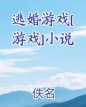 逃婚游戏[游戏]小说