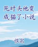 死对头他变成猫了小说