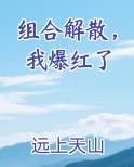 组合解散,我爆红了