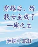 穿越后,娇软女主成了一城之主