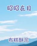 昭昭在目小说全集