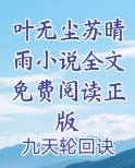 叶无尘苏晴雨小说全文免费阅读正版