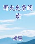 野火免费阅读