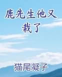 鹿先生他又栽了