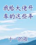 我给大佬开车的这些年