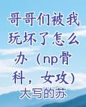 哥哥们被我玩坏了怎么办(np骨科,女攻)