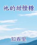 他的小甜橙作者