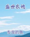 盛世农媳