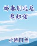娇妻别逃总裁超甜
