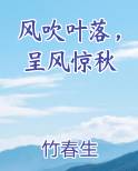 风吹叶落，呈风惊秋