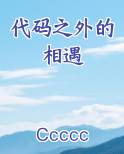 代码之外的相遇