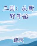 三国:从新野开始