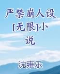 严禁崩人设[无限]小说