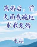 离婚后,前夫雨夜跪地求我复婚