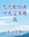 九天轮回诀叶无尘苏晴雨