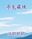 寻龙藏珠