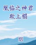 凰临之神君欺上榻