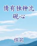 情有独钟沈砚心