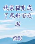 我家猫变成了尾形百之助