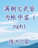 满朝文武皆为帐中客